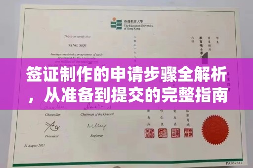 漳浦签证制作的申请步骤全解析，从准备到提交的完整指南