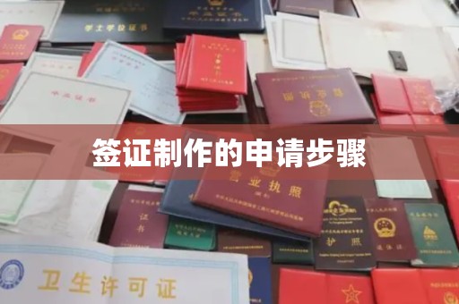 漳浦签证制作的申请步骤