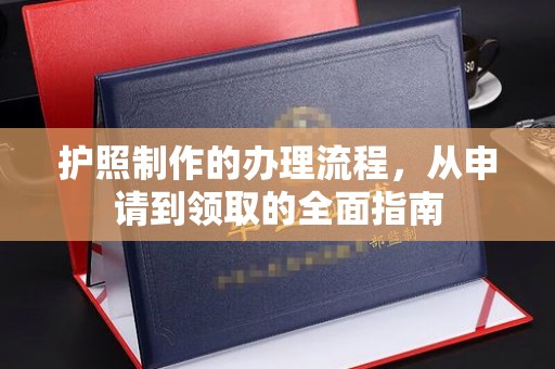 漳浦护照制作的办理流程，从申请到领取的全面指南