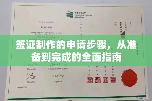 漳浦签证制作的申请步骤，从准备到完成的全面指南