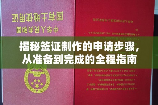 漳浦揭秘签证制作的申请步骤，从准备到完成的全程指南