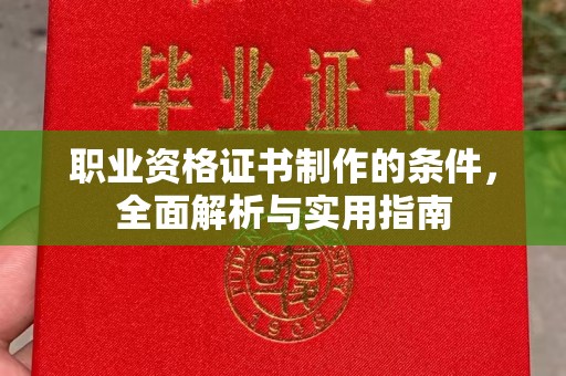 漳浦职业资格证书制作的条件，全面解析与实用指南